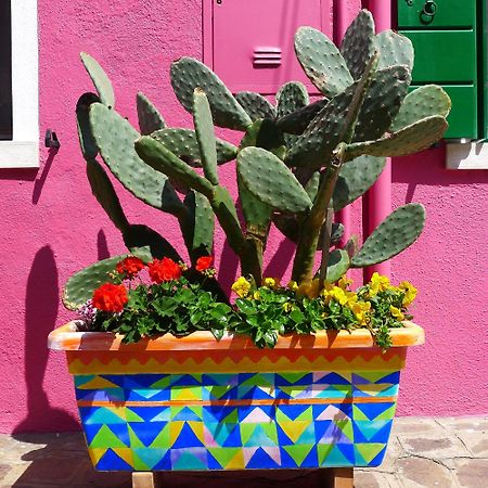 Night Galleria Holiday Home - Bed & Art In Burano - The Pink House Luaran gambar